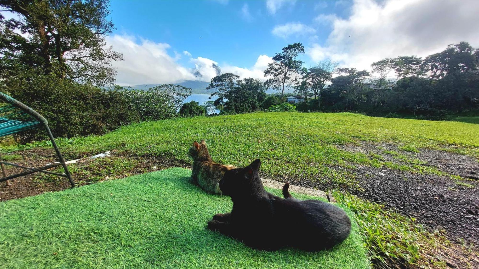 Rustico Villa Arenal La Fortuna Dış mekan fotoğraf